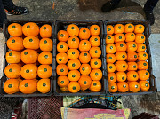 Апельсины производство Иран доставка из г.Алматы