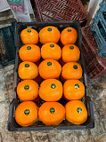 Апельсины производство Иран доставка из г.Алматы