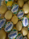 Лимон сорт 1 в салофане доставка из г.Алматы
