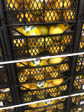 Лимон сорт 1 в салофане доставка из г.Алматы