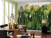 Фотообои на стену «тюльпаны» Komar 8-900 Tulips (германия) Актау