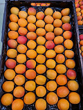 Продаем абрикосы от производителей Алматы