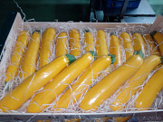 Продаем баклажаны от производителей Алматы