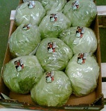 Продаем салаты от производителей Алматы