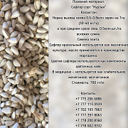 Семена Сафлора сорт "нурлан", Казахстан доставка из г.Есик