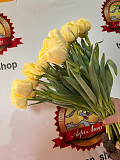 Тюльпаны оптом к 8 марта и 14 февраля Алматы