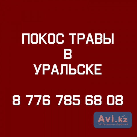 Покос травы Уральск Уральск - изображение 1