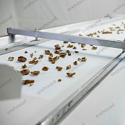 Инспекционный стол для сортировки грецкого ореха доставка из г.Алматы
