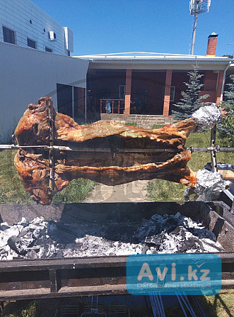 Вертел для мангала с электроприводом Астана - изображение 1