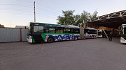 Реклама на автобусах Нур-Султан (Астана)