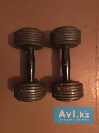Продам гантели разборные. общий вес 17 кг. вес одной 8.5 кг Караганда - изображение 1