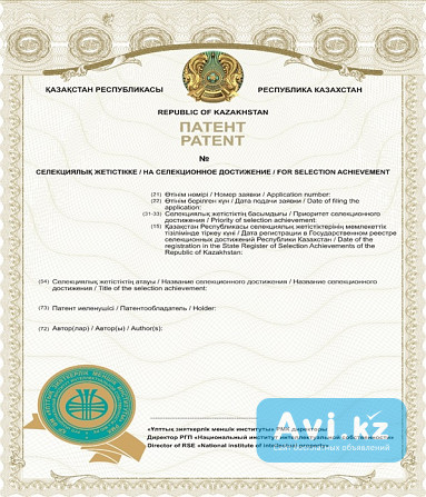 Регистрация сортов растений Алматы - изображение 1
