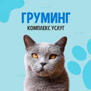 Стрижка кошек и котов + купание Астана