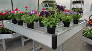 Вегетационные столы для выращивания рассады Кокшетау