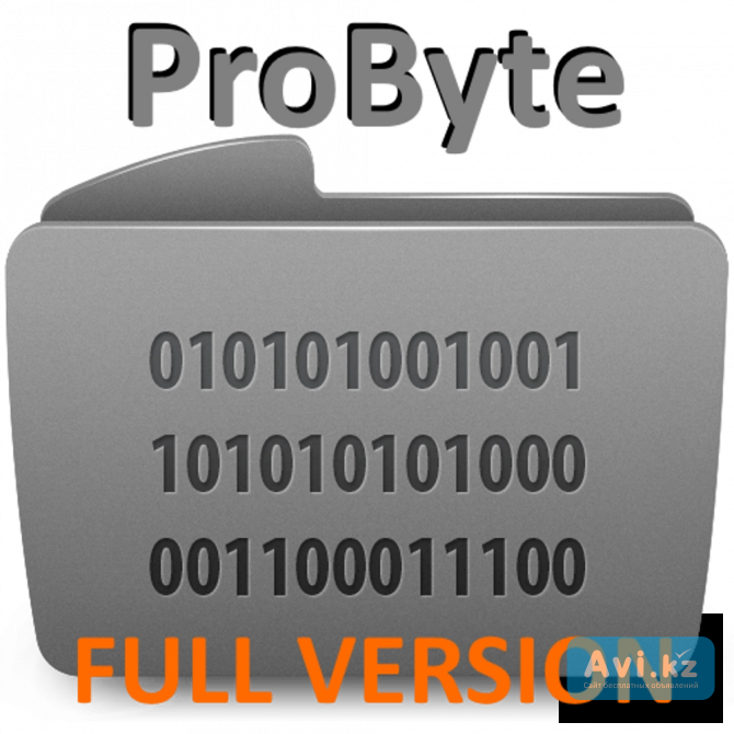 Pro Byte(программное обеспечение) Москва - изображение 1