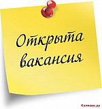 Диспетчер оператор Шымкент