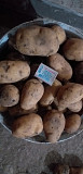 Продам картофель Астана