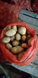 Продам картофель Астана