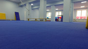 Ролл-маты с поверхностью гимнастический ворс Алматы