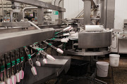 Предприятие по производству молочной продукции Каскелен