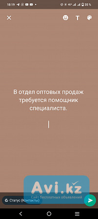 В отдел оптовых продаж требуется помощник специалиста Алматы - изображение 1