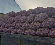 Картофель оптом. От 20 тонн доставка из г.Другой город России