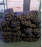 Картофель оптом. От 20 тонн доставка из г.Другой город России