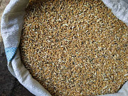 Продам зерно отходы пшеничные Кокшетау