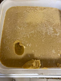 Алтайский мёд. Цветочный доставка из г.Атырау