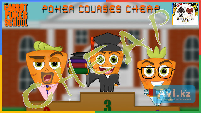 Carrot Corner Full Scholarship Астана - изображение 1