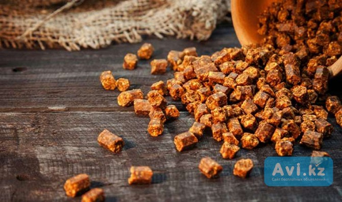 Продукты пчеловодства оптом Алматы - изображение 1
