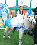 Пони лошадь аренда прокат Алматы