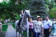 Лошадь на сундет той Алматы