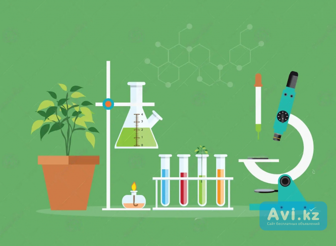 Репетиторство по Химии и Биологии, Онлайн, обучение с нуля, Подготовка к Егэ Алматы - изображение 1