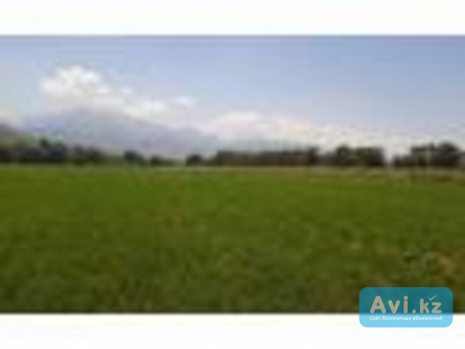 Продам землю сельхозназначения Талгар - изображение 1
