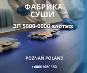 Бесплатные Вакансии в Польше Астана