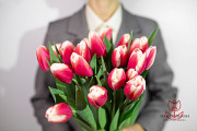 Тюльпаны оптом к 8 марта и 14 февраля Алматы