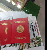 Востановление сертификатов Алматы