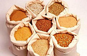 Пшеница, ячмень, овес, зерноотходы Экибастуз