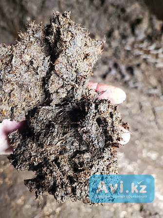 Покровная почва для шампиньонов Алматы - изображение 1