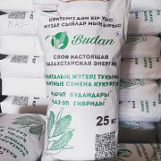 Семена кукурузы доставка из г.Алматы