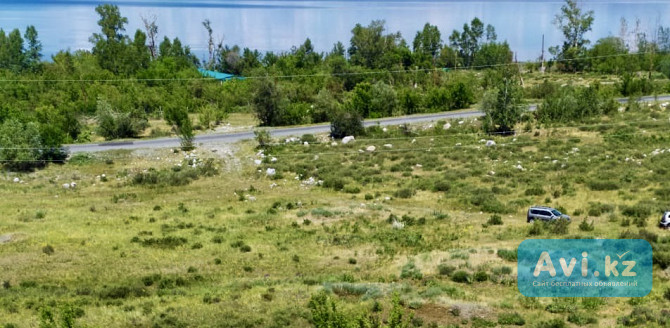 Продам землю сельхозназначения Катон-Карагай - изображение 1