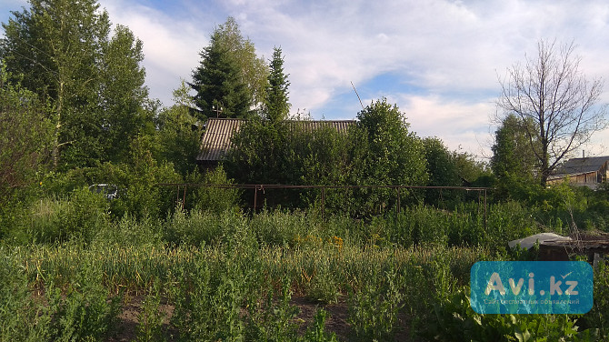 Продам землю под садоводство Усть-Каменогорск - изображение 1