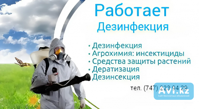 Работает Дезинфекция! Только По Астане! Только Звонки Астана - изображение 1