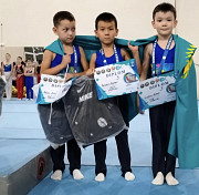 Гимнастика для детей Алматы