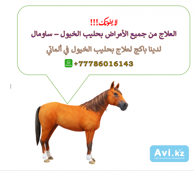 ألعلاج بحليب الخيول (ساومال) في ألماتي Алматы - изображение 1