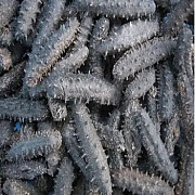 Морепродукты высокого качества Sea Cucumber Атырау