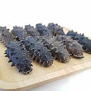 Морепродукты высокого качества Sea Cucumber Атырау