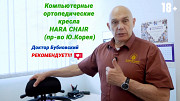 Компьютерное кресло Hara Chair Pascal ортопедическое (ю.корея) доставка из г.Астана