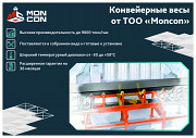 Конвейерные весы от производителя Костанай